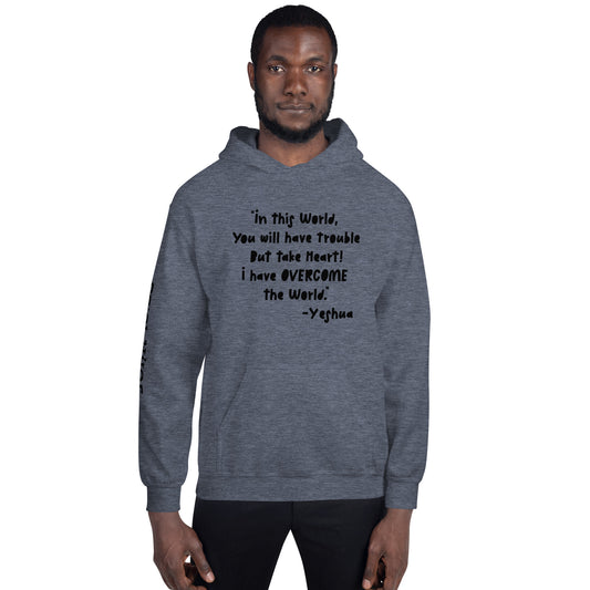 John 16:33 Unisex Hoodie