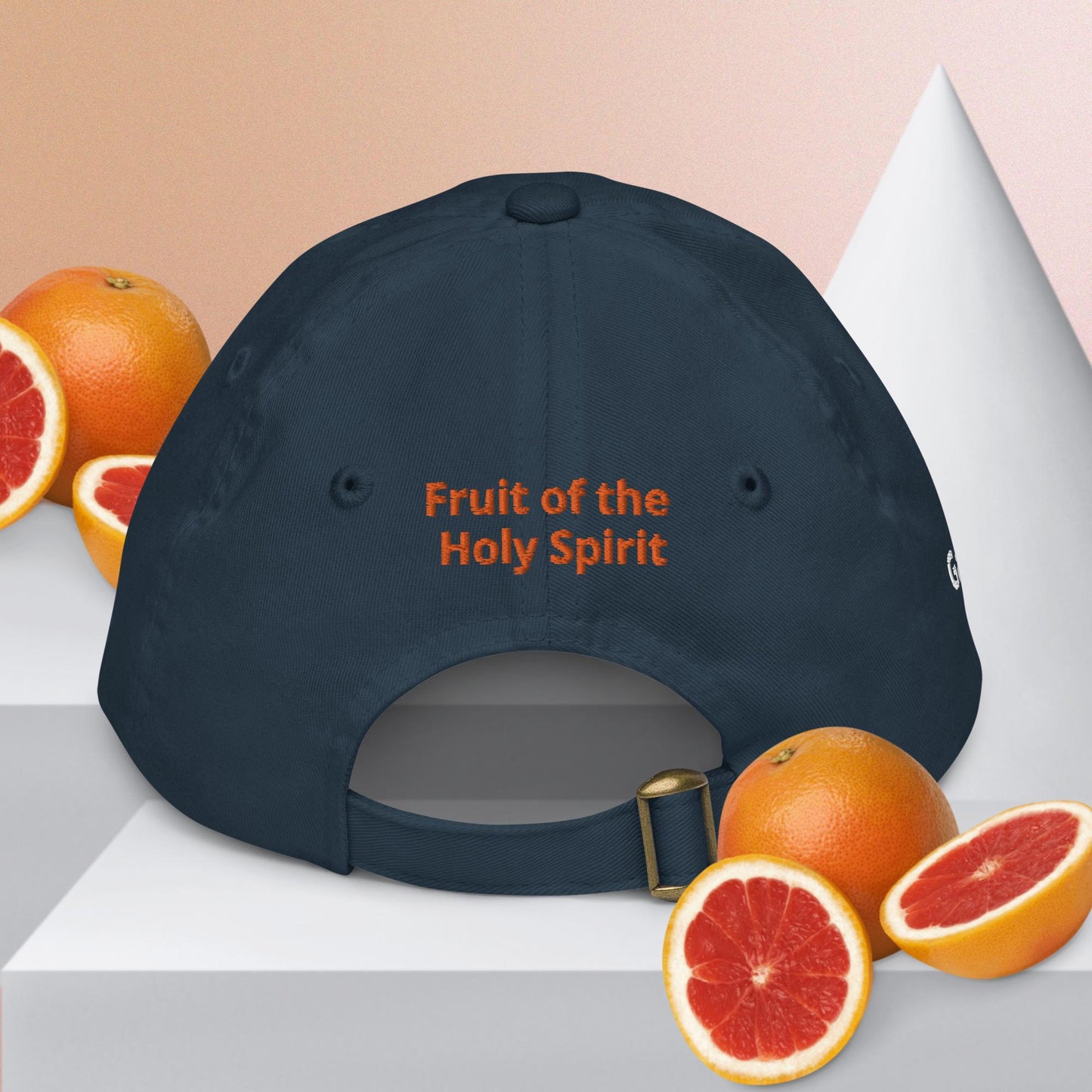 Fruit OTHS youth baseball cap