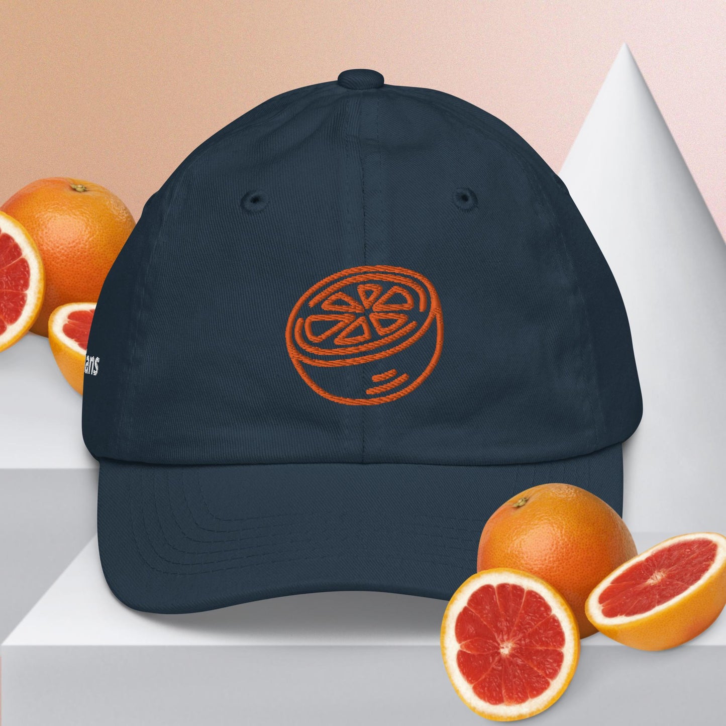 Fruit OTHS youth baseball cap